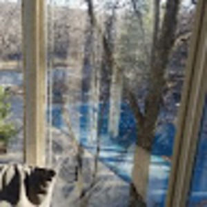 Meet your Posher, Audreyetalexis